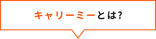 キャリーミーとは?