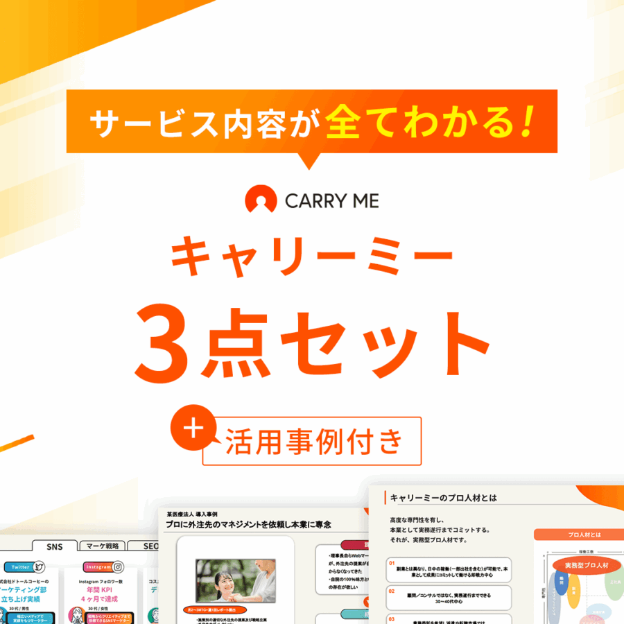 サービス内容が全てわかる！キャリーミー 3点セット